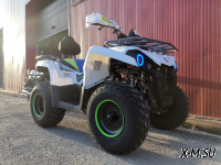 Квадроцикл PROMAX RENEGADE 280 LUX (2025)