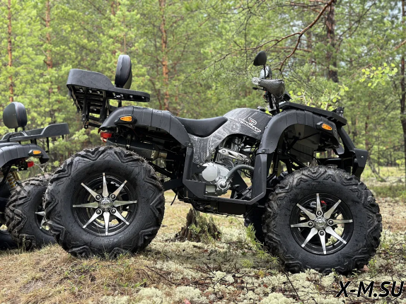 Квадроцикл PROMAX 320 DOMINATOR (2025)